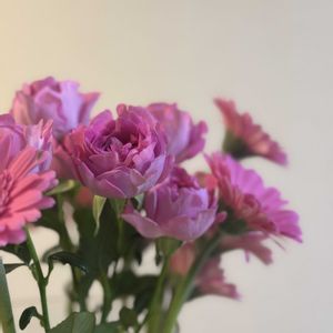 お花屋さん,花のある暮らし,ガラスの花瓶,町のお花屋さん,君も花が好きなのかの画像