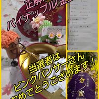 シラン,ビヨウヤナギ,ビヨウヤナギ,ピラカンサ,アナベルの画像