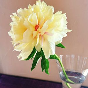 日比谷花壇,花のある暮らし,花のある生活,切り花を楽しむ,ハイブリッド芍薬の画像