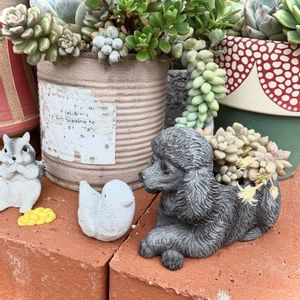 多肉植物,雑貨,ナチュラルガーデン,ミニ鉢,テラスの画像