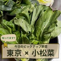 小松菜,東京都,野菜のある暮らし,野菜遺産,野菜遺産PROJECTの画像