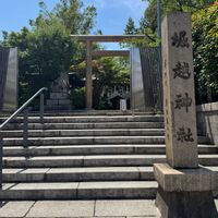 ジャカランタ,一心寺,お朔日参り,大阪　堀越神社の画像