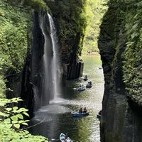 トックリラン,真名井の滝,真名井の滝,青紅葉（あおもみじ）,パワースポットの画像