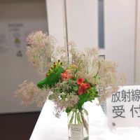 アルストロメリア,アルストロメリア,ガーベラ,シマトネリコ,スターチスの画像