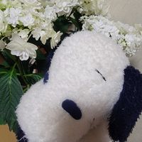 ハイドランジア,大人の着せ替え人形,ハイドランジア　プロポーズフォーユー,GSのみなさんに感謝♡,素敵な出会いに感謝の画像