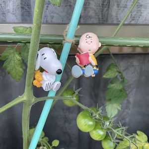 ミニトマト,丸ナス,ミニトマト こあまちゃん,あまりん,サントリー本気野菜とろとろ炒めナスの画像