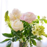 オーニソガラム,シャクヤク,今日のお花,キュンキュン乙女倶楽部,われら17年組の画像