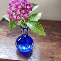 紫陽花,アナベル,一輪挿し,鳥の落し物,花を愛でるの画像