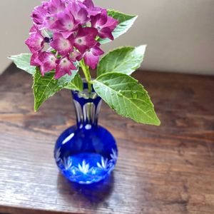 紫陽花,アナベル,一輪挿し,鳥の落し物,花を愛でるの画像