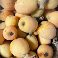 ビワ,ビワのコンポート,育てて食べる,家庭菜園,庭の画像