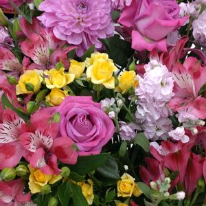 寄せ植え,鉢植え,ガーデニング,ありがとう,お祝い花の画像