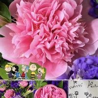 アンスリウム,シャクヤク,コラージュ,❤️いいね、ありがとう,今日のお花の画像