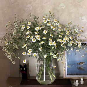 タナセタム ジャックポット,切り花,白い花,雨の日,庭の花を飾るの画像