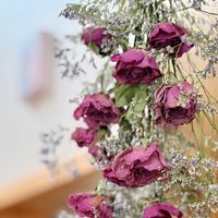 バラ,ハイブリッド スターチス,ドライフラワー,花のある暮らし,iPhone撮影の画像
