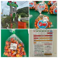 サクランボ,さくらんぼ,green life,ｷﾞｭｯﾄby♡me,レッツゴー三匹の画像