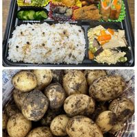 柏葉紫陽花,八重咲き柏葉紫陽花,カマキリの赤ちゃん,新じゃがいも,ほたるぶくろピンクの画像