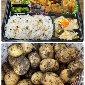 柏葉紫陽花,八重咲き柏葉紫陽花,カマキリの赤ちゃん,新じゃがいも,ほたるぶくろピンクの画像
