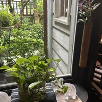 ポトス,ドライフラワー,ガーデニング,グリーン,お出かけ先にての画像