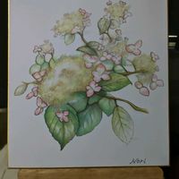 ライラック,ライラック,ヤマアジサイ✴︎,ヤマアジサイ✴︎,お絵描きタイムの画像