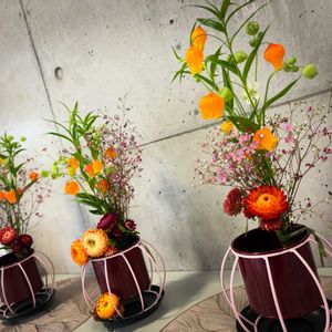 サンダーソニア,かすみ草 宿根,お花屋さん,熊本,春到来！の画像