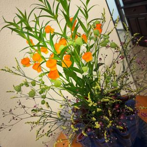 サンダーソニア,かすみ草 宿根,お花屋さん,熊本,生け込みの画像