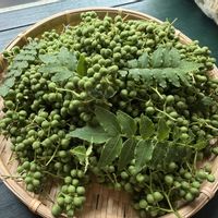 山椒,木の実,のんびり過ごそう,今日も笑顔で♡,素敵な1日をの画像