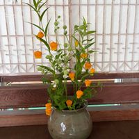 サンダーソニア,梅雨,お花屋さん,熊本,生け込みの画像