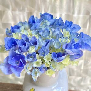 アジサイ,花のある暮らし,緑のある暮らし,ナチュラルスタイル,繋がりに感謝✨の画像