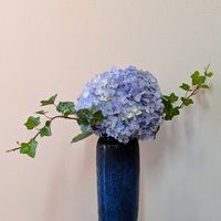 私の生け花,アイビーマンション花壇より,友人より紫陽花4種プレゼント,エントランスの画像