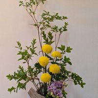 私の生け花,プチマル,松風華道,ナンテンの葉町内会倉庫より,エントランスの画像