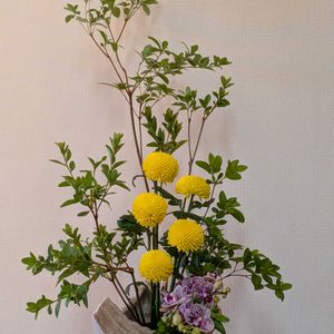私の生け花,プチマル,松風華道,ナンテンの葉町内会倉庫より,エントランスの画像