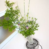 ニゲラ,デルフィニューム,お花屋さん,熊本,生け込みの画像