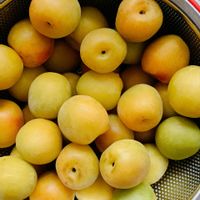 甘い香り,季節を感じる暮らし,キッチンの画像