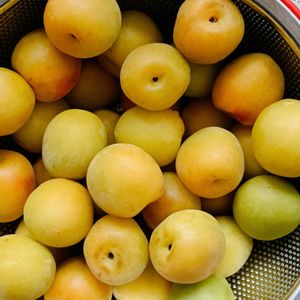 甘い香り,季節を感じる暮らし,キッチンの画像