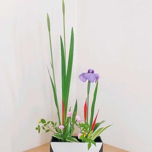 シャガ,ナデシコ,ナルコユリ,ハナショウブ,ヘリコニアの画像