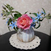 ブルースター,庭の花,花のある暮らし,ピンクの薔薇,庭の花を飾るの画像