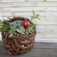 多肉植物,多肉の寄せ植え,戦利品,多肉のある暮らし,GSのみなさんに感謝♡の画像