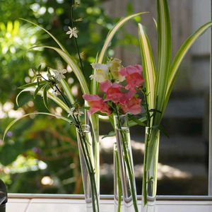キンギョソウ,生け花,庭の花便りの画像