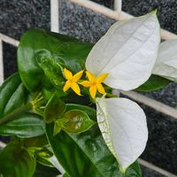 玄関前の画像