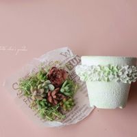 多肉植物。,花のある暮らし,HTC,ご縁に感謝,信楽狸倶楽部の画像