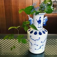 紫陽花 アジサイ あじさい,山野草大好き,部屋の画像