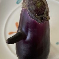 ナス,くだらない投稿でスミマセンの画像