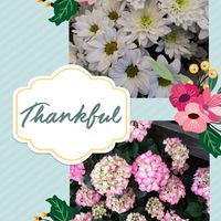 マーガレット,紫陽花 アジサイ あじさい,小さな幸せ♡,花友さんに感謝♡,こぺんちゃん通信の画像