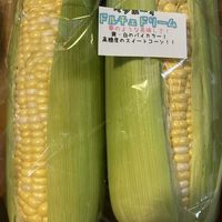 とうもろこし,ドルチェドリーム,感謝,記録用,小さな幸せ♡の画像