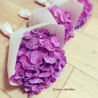 地植え,花瓶,紫陽花 アジサイ あじさい,紫陽花のおまじない,小さな庭の画像