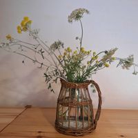カモミール,白妙菊(しろたえぎく),ノラニンジンの画像