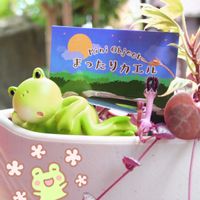 コキア,ハートカズラ,五色ドクダミ,ハートカズラの 花,薔薇と青空✨の画像