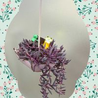 ハイビスカス,ルビーネックレス,白檀のお花,エアプランツ,素敵便の画像