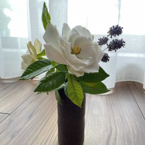 クチナシ　八重咲き,ベランダガーデニング,花のある暮らし,お花大好き♡,植物に癒されての画像