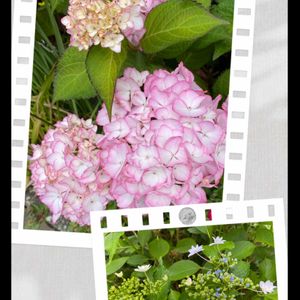 お出掛け,超古民家と庭,里地里山,おうち園芸,I♡Chibaの画像